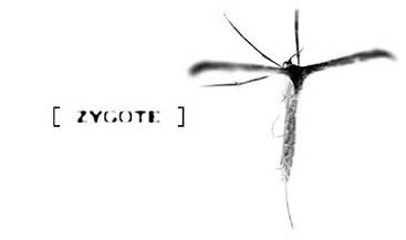 logo Zygote (SRB)